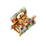 პატარა კვადრატული თმის კლანჭი, ბრაზილია