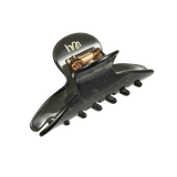 გლუვი თმის კლანჭი, ვარსკვლავებით მოჭედილი ღამე