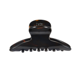 გლუვი თმის კლანჭი, ლურჯ-ნარინჯისფერი