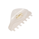 ფრთის ფორმის თმის კლანჭი, ღრუბელი